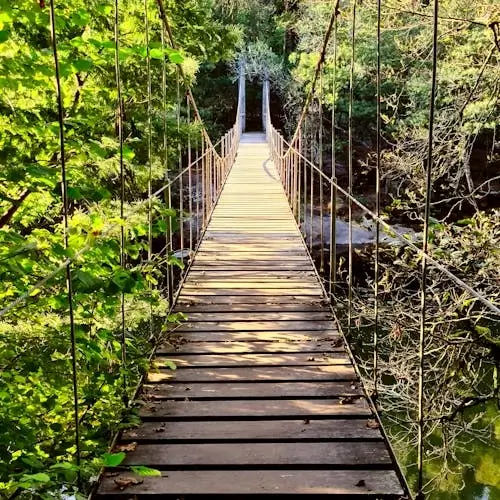 Darjeeling Group Trip - Takdah Hanging Bridge (1)