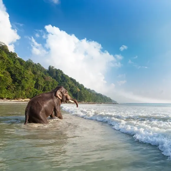 Havelock Island