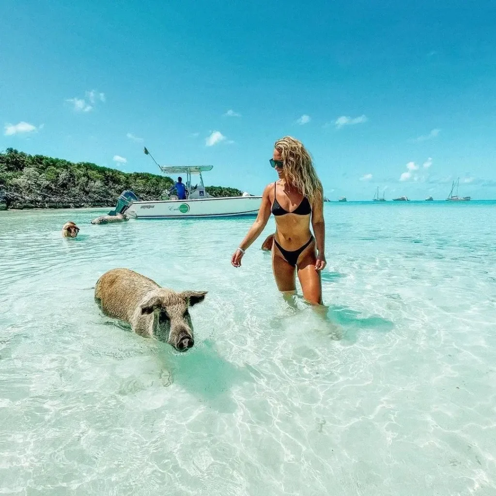 Luxury Celebrity Tours for Singles | Premium Group Trips for Singles Age 30 to 49 | Celebrity Led Cinematic Travel Experiences | Luxury Solo Travel Packages for Professionals | Luxury Group Tours for Singles Age 30 to 49