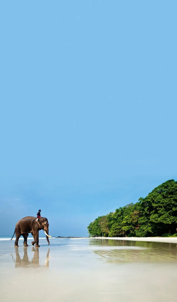 Luxury Andaman Tour, Luxury Andaman Trip, Andaman Tour Package, Celebrity Hosted Tours, Travel with Aditi Sharma