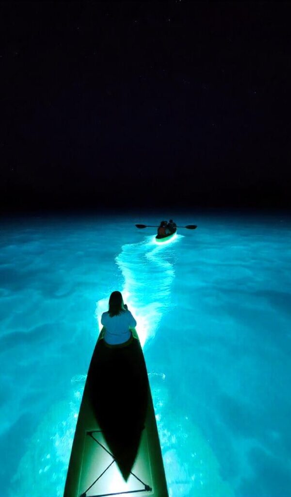 Luxury Andaman Tour, Luxury Andaman Trip, Andaman Tour Package, Celebrity Hosted Tours, Travel with Aditi Sharma