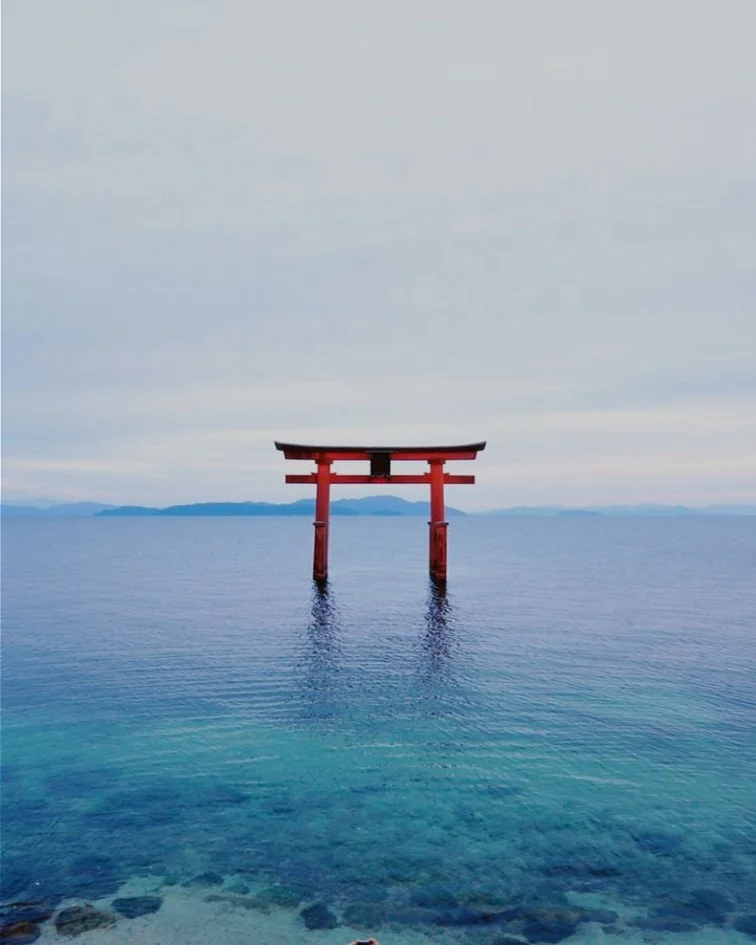 Luxury japan tour package | Japan tour package from India | Japan Group Tour from India | Luxury Japan Trip | Travel with a Celebrity