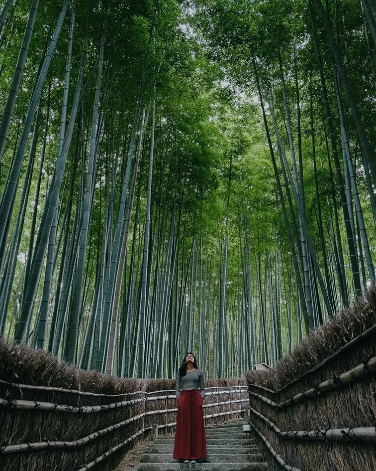 Luxury japan tour package | Japan tour package from India | Japan Group Tour from India | Luxury Japan Trip | Travel with a Celebrity