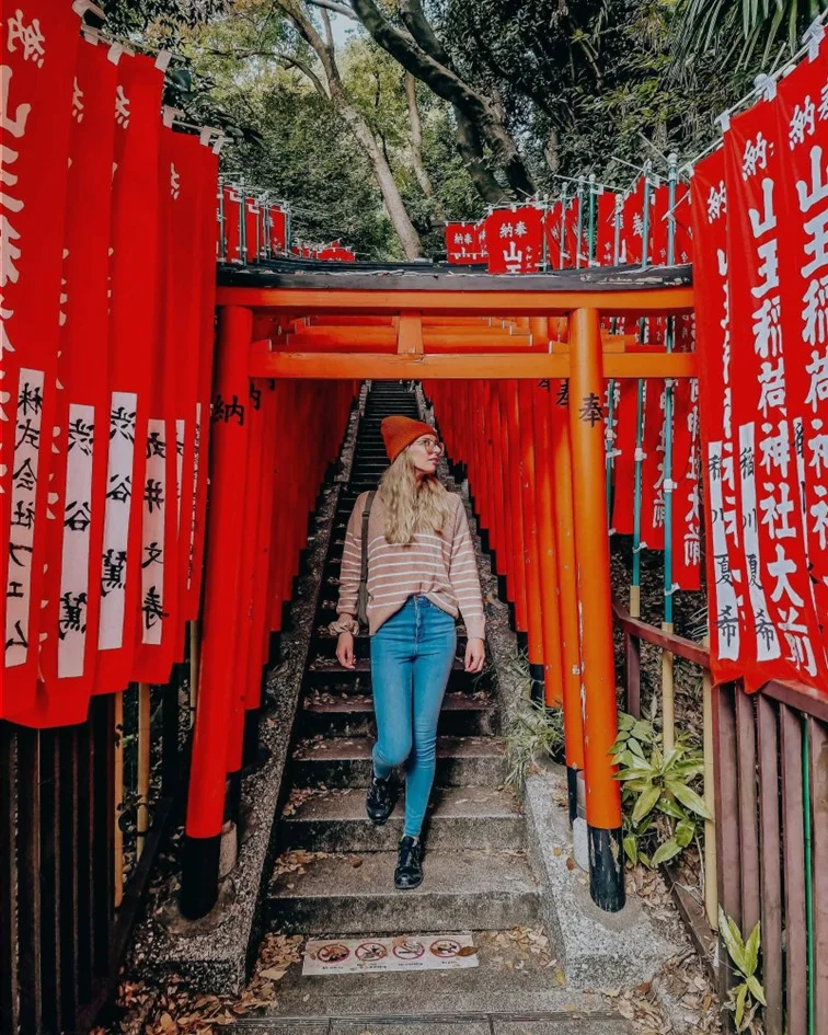 Luxury japan tour package | Japan tour package from India | Japan Group Tour from India | Luxury Japan Trip | Travel with a Celebrity